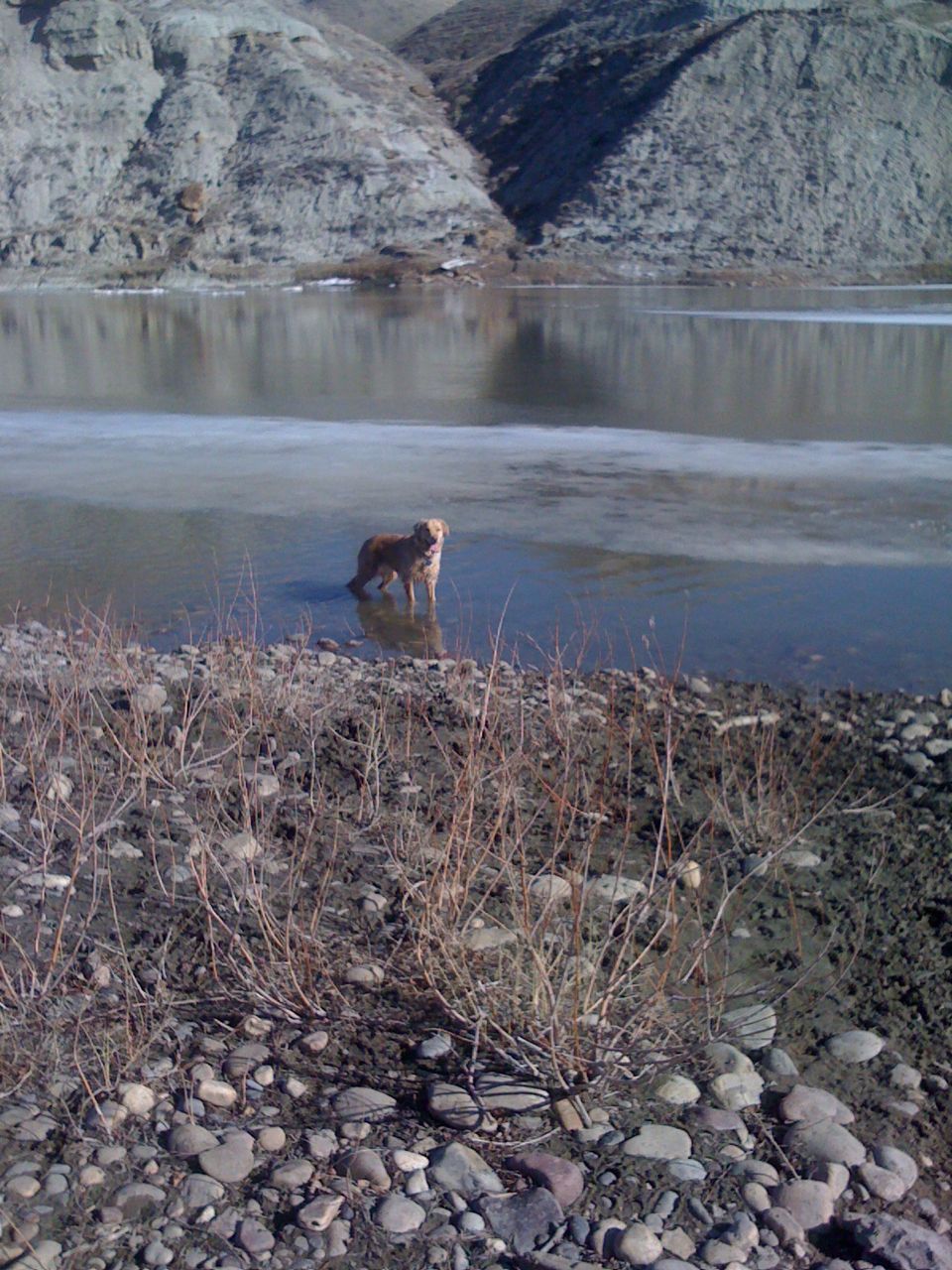 in the river