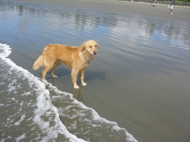 at the beach