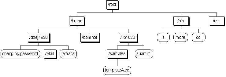 Directory Structure Example