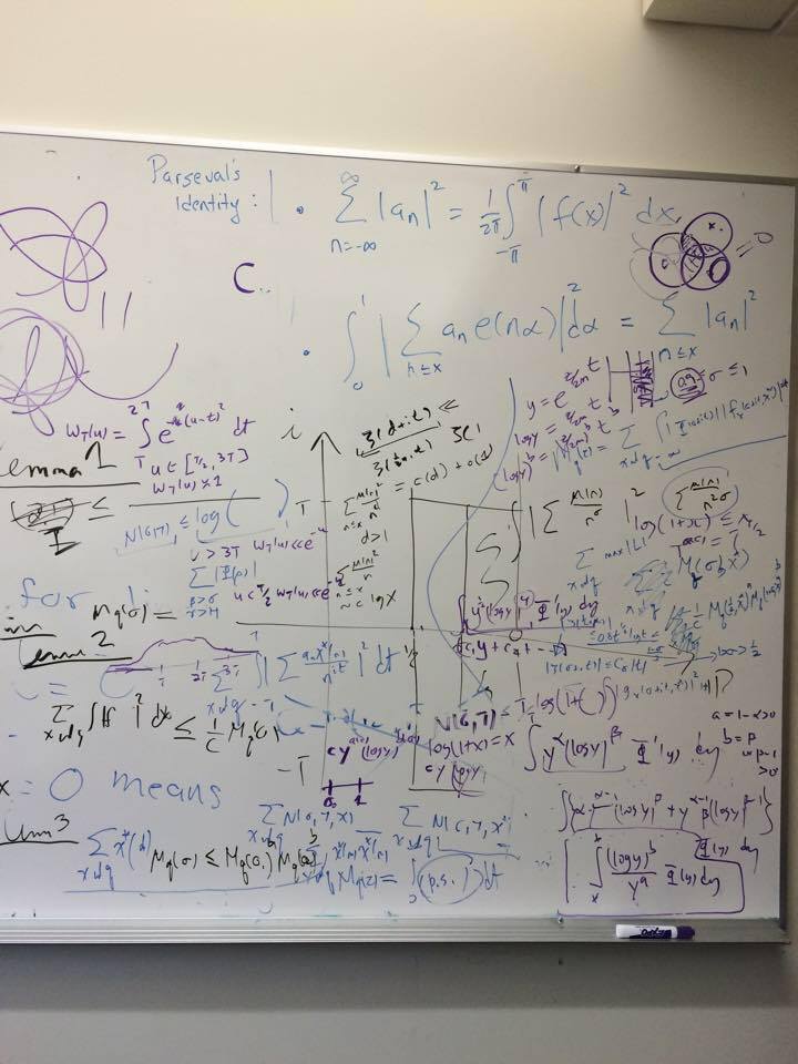 Board Picture