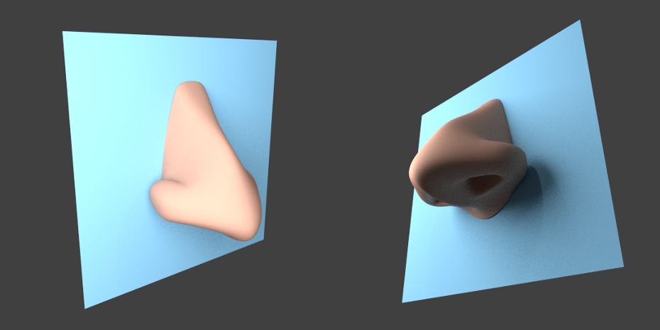 nose