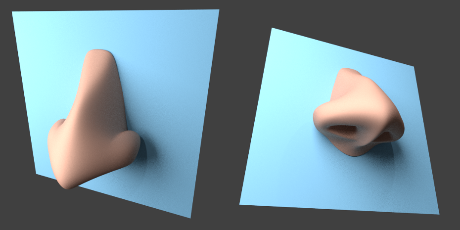 nose