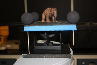 Mammoth on platform with registration balls
